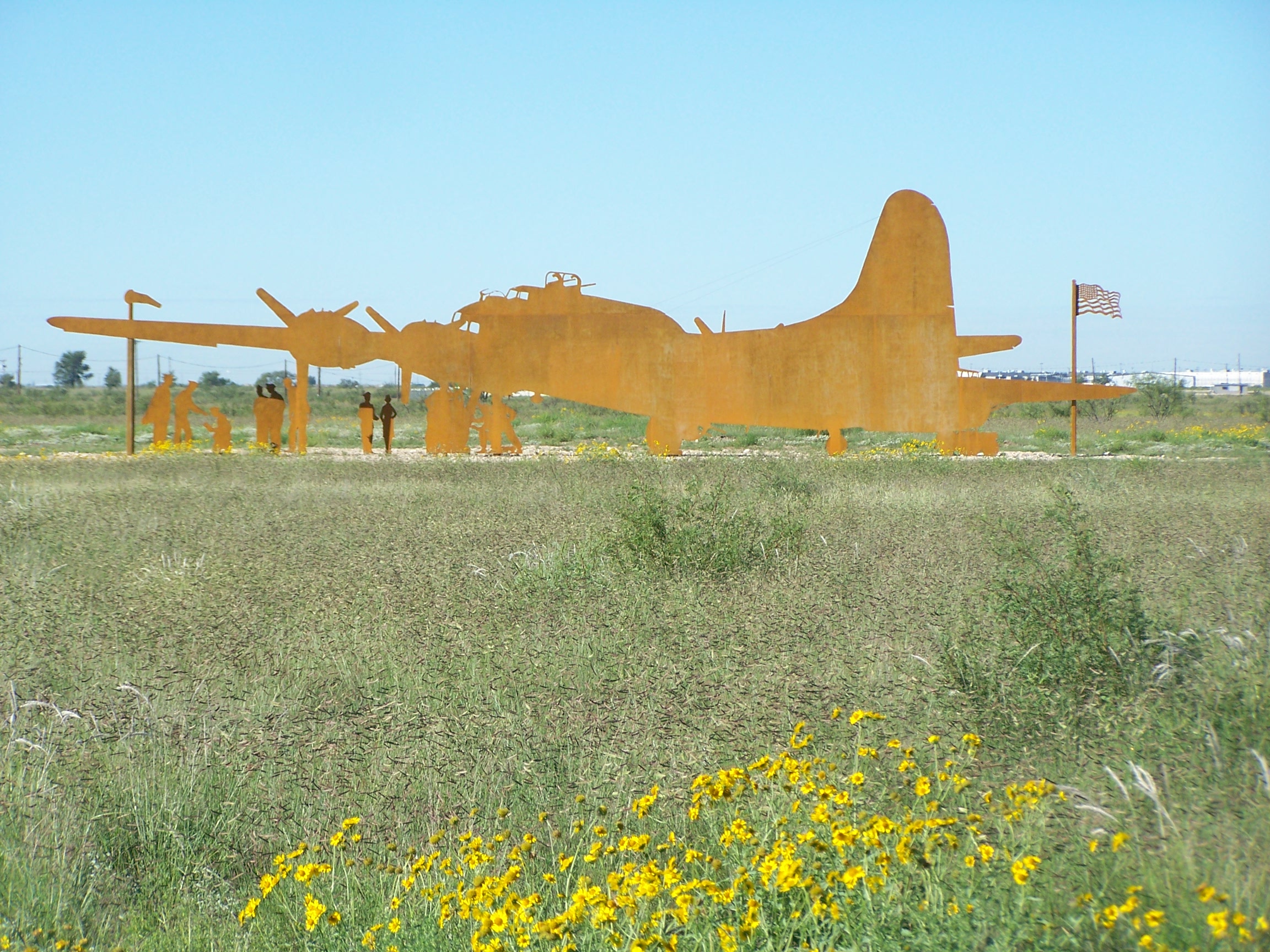 Summer rains bring wildflowers and rust!