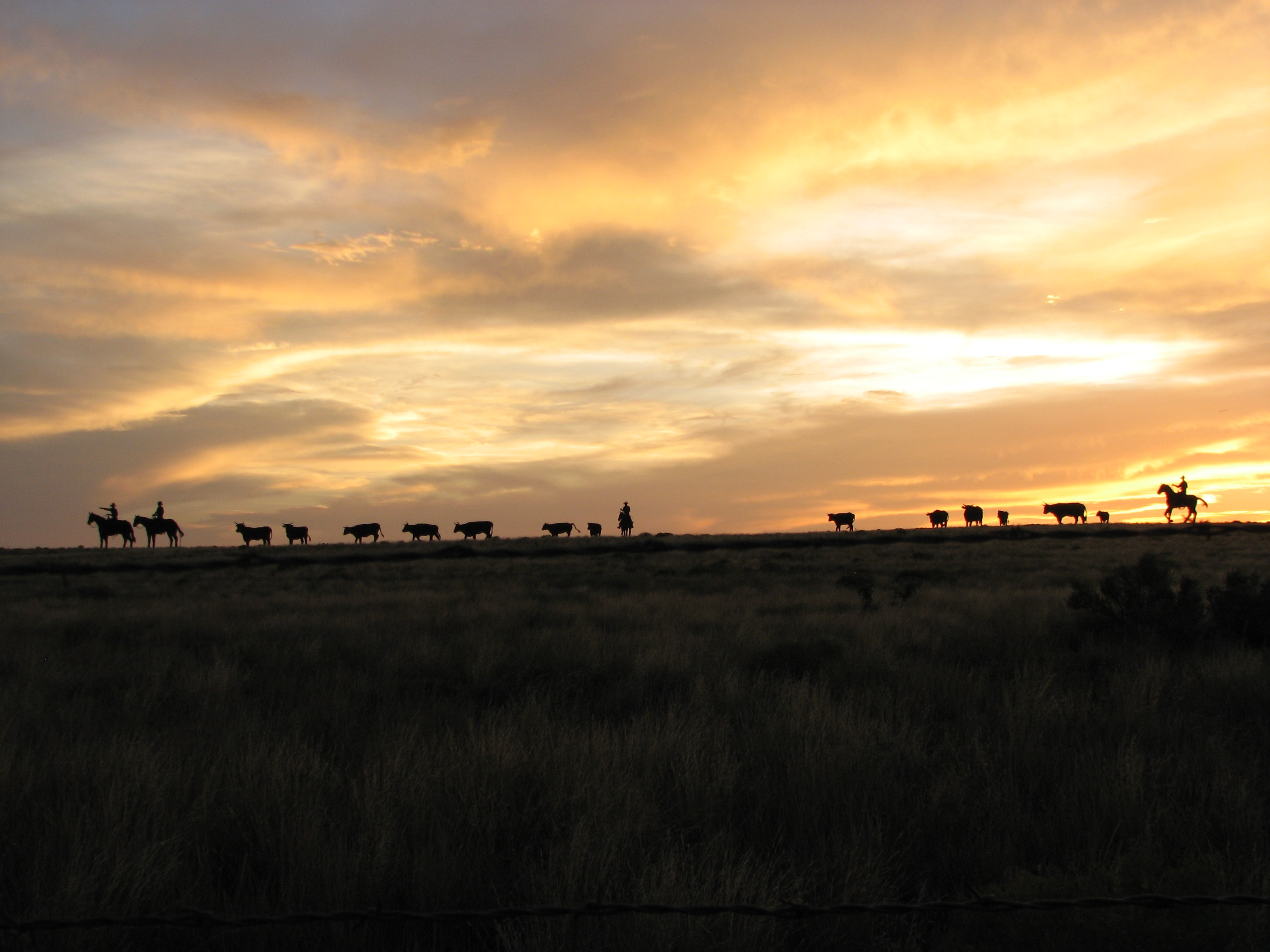 Sunset over "The Trail Ahead..."