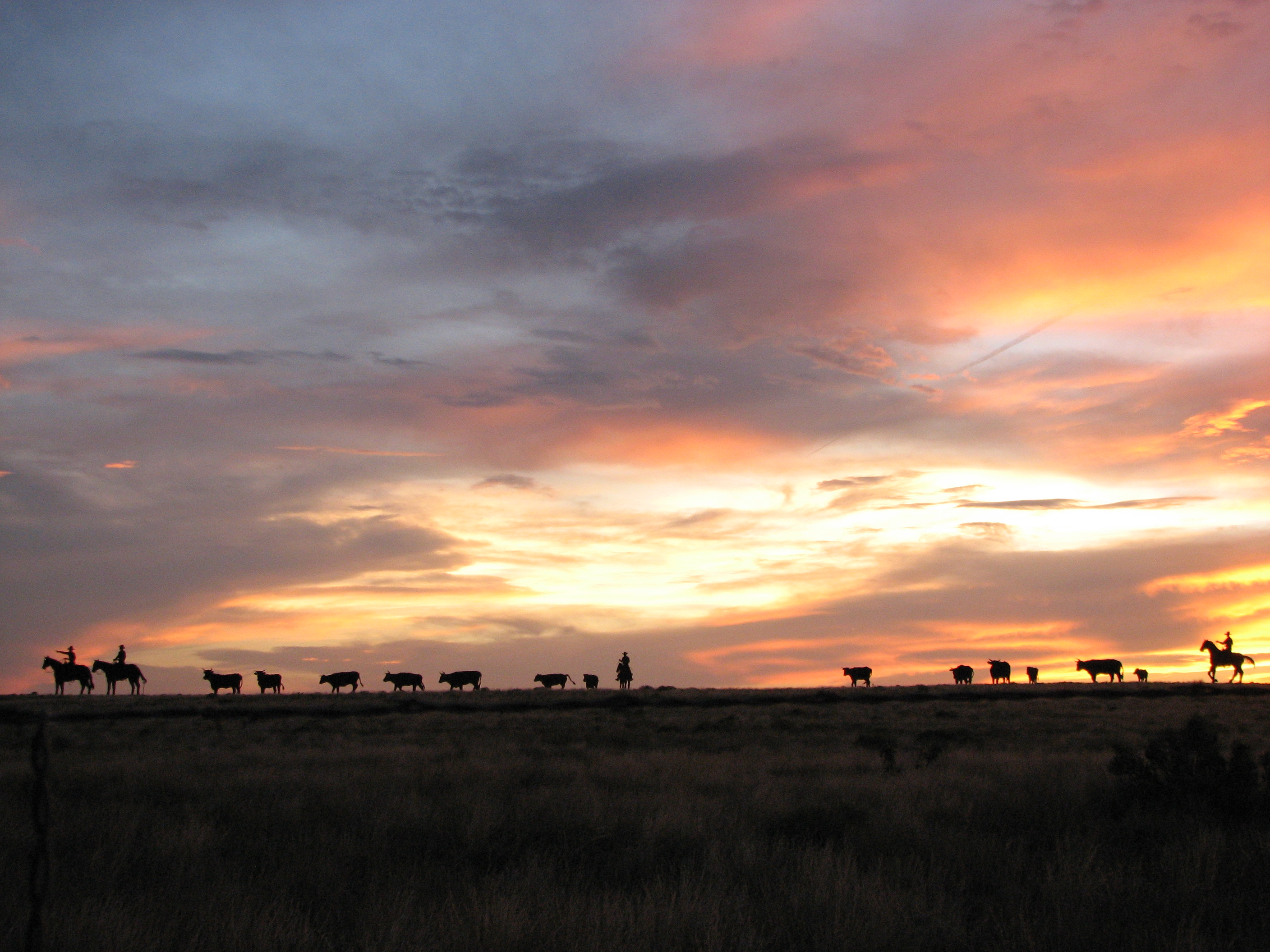 Sunset on "The Trail..."  Each is different, and most are truly beautiful!