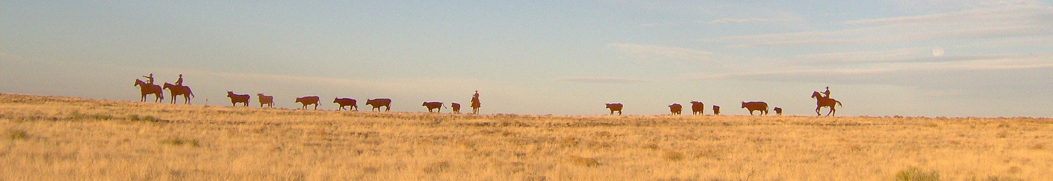 "The Trail Ahead..."