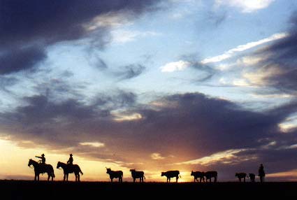 The classic sunset shot!